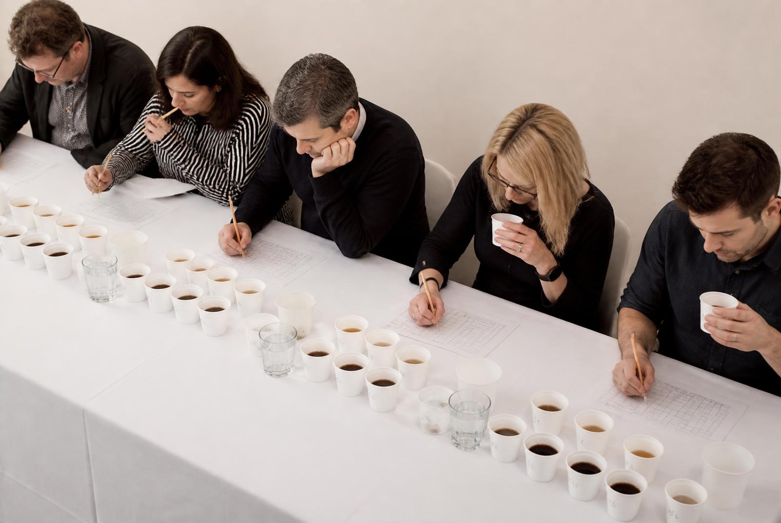 The professional tasting panel at work